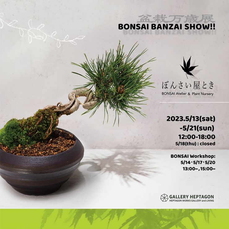 bonsai_banzai_show!!2023_visual_sq.jpg